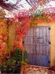 Casa a Calera de León. Tu refugio secreto en el corazón del bosque