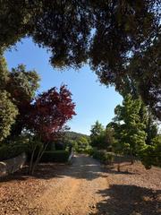 Casa en Constantina. Finca de 45 hectreas en el parque natural sierra norte tradici