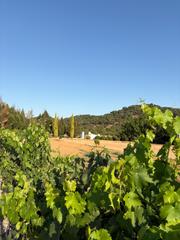 Casa a Constantina. Finca  dehesa de castaños y alcornocales de 45 hectáreas en el p