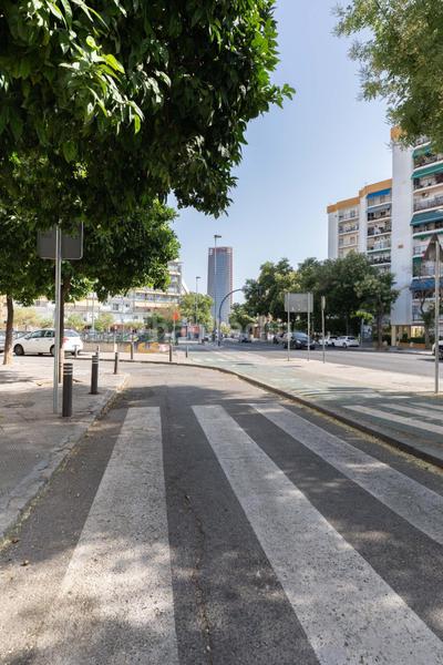 Foto 3ce39da1-bfe7-4724-bad6-a53f251d3fea. Location local commercial dans Triana Oeste Sevilla