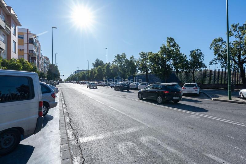 Foto 702638a3-e19f-408b-b38e-3364c76e5546. Pis a El Cerro Sevilla