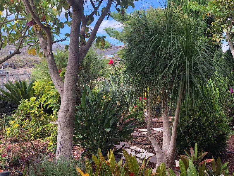 Foto 304e9195-df9e-4cfb-953a-28e73c030f5d. Maison jumelée dans Los Cristianos Arona