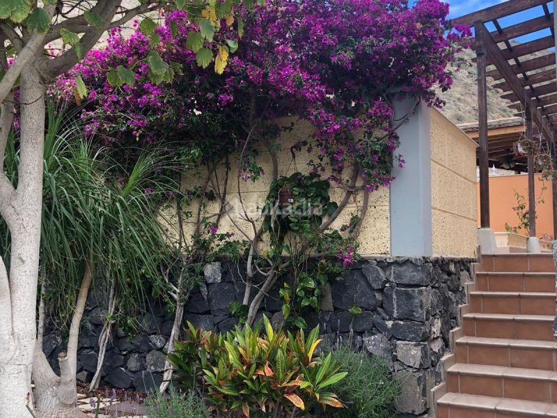 Foto 33af9385-0b70-4522-9fee-148c7b5a0a77. Maison jumelée dans Los Cristianos Arona