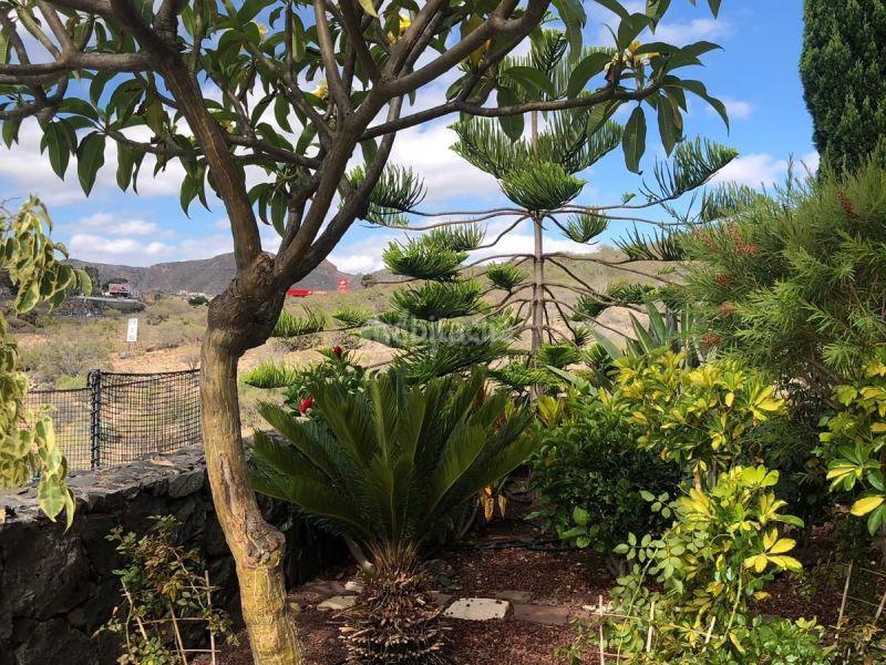 Foto a4be97fd-82f8-4f30-9e1d-e9bdf8e03b69. Maison jumelée dans Los Cristianos Arona