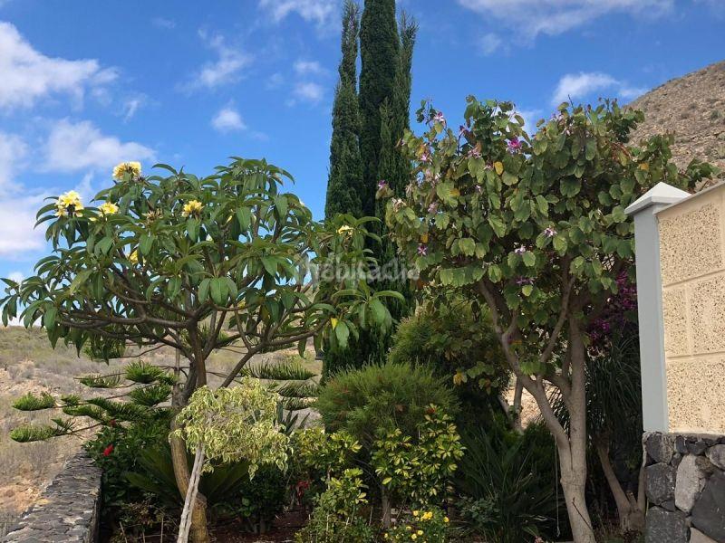 Foto b10f20cd-2101-46da-8270-b6fb51926520. Maison jumelée dans Los Cristianos Arona