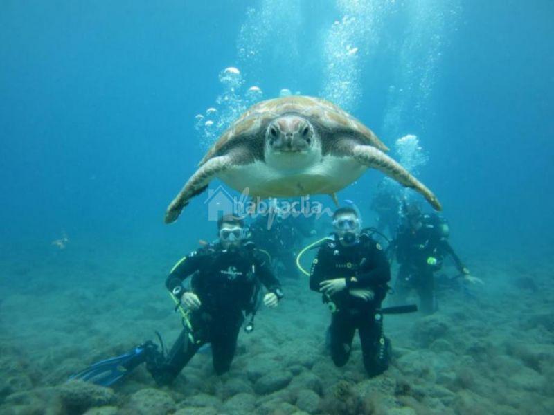 Foto 506e6f0b-a471-4613-9ec6-38c918b1b9e6. Haus in La Caldera Adeje