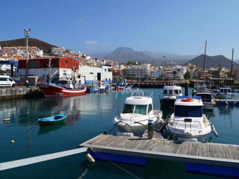 Foto 8041a21a-a463-403e-a945-eb18d3f1fcb5. Maison dans La Caldera Adeje