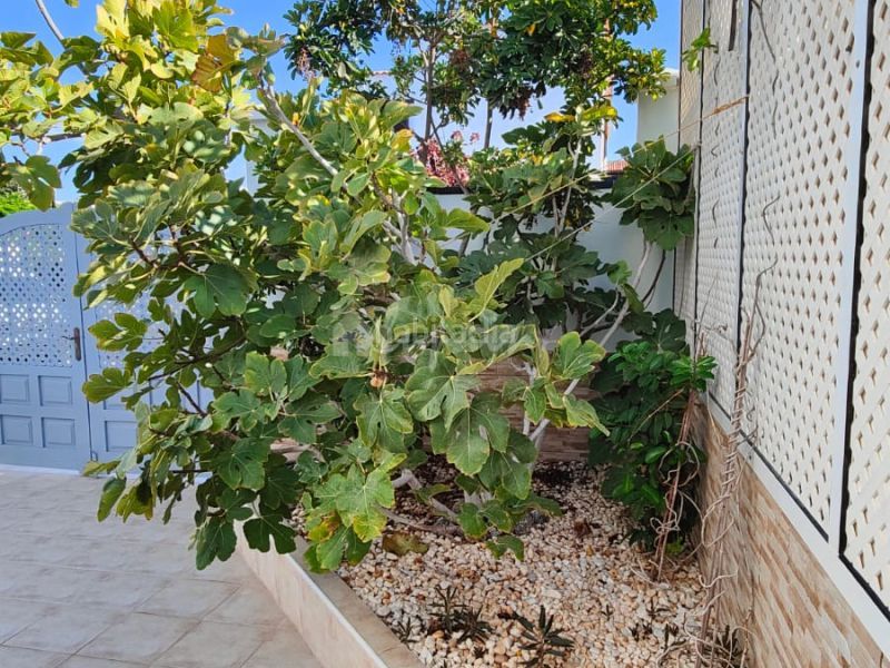 Foto fa48752b-602e-41d2-912c-0d16fb60b64c. Casa a Costa del Silencio Arona