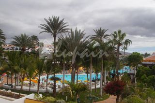 Piccolo appartamento in Playa de las Américas