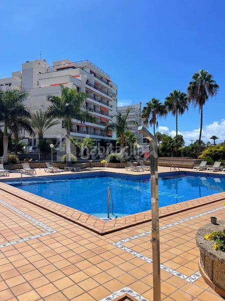 Foto aa85b1e4-32d1-4518-88cc-a7d68c56b74f. Monolocale in Playa de las Américas Arona