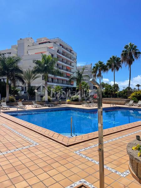 Foto e34d867d-225f-4284-9f64-e3fa9a6f6142. Monolocale in Playa de las Américas Arona