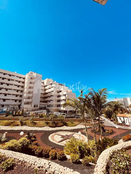 Foto f4979df2-d0b8-41ae-9bff-c13a36dae9da. Studio in Playa de las Américas Arona