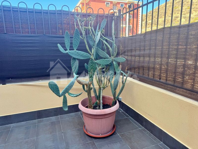 Foto ef6432e8-589b-4e36-bf03-c6655bd9bae0. Apartamento en Palm - Mar Arona