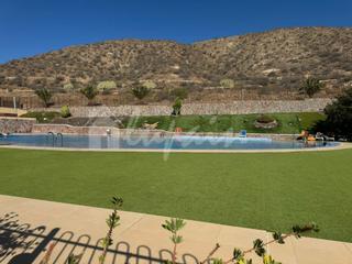 Apartment in Palm - Mar