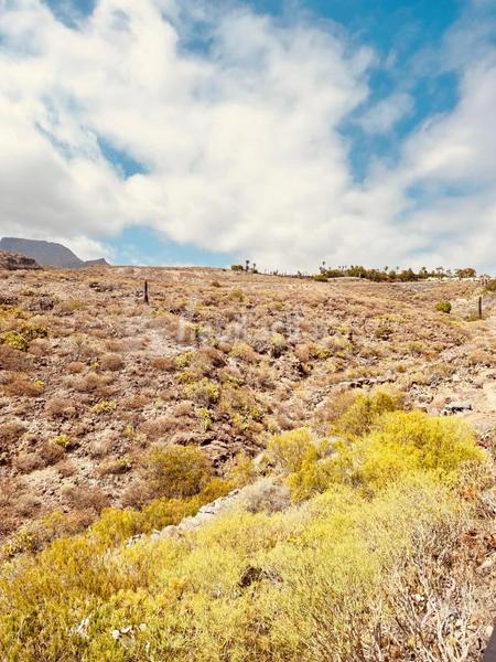 Foto 5e2c7f86-1726-480e-b18c-db04b7dfdfb6. Casa adossada a Chayofa Arona