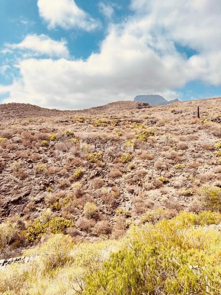 Foto df0d3851-846c-425f-9743-8aba24fdd533. Casa adossada a Chayofa Arona