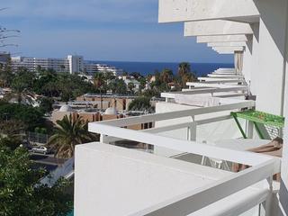 Estudi a Playa de las Américas