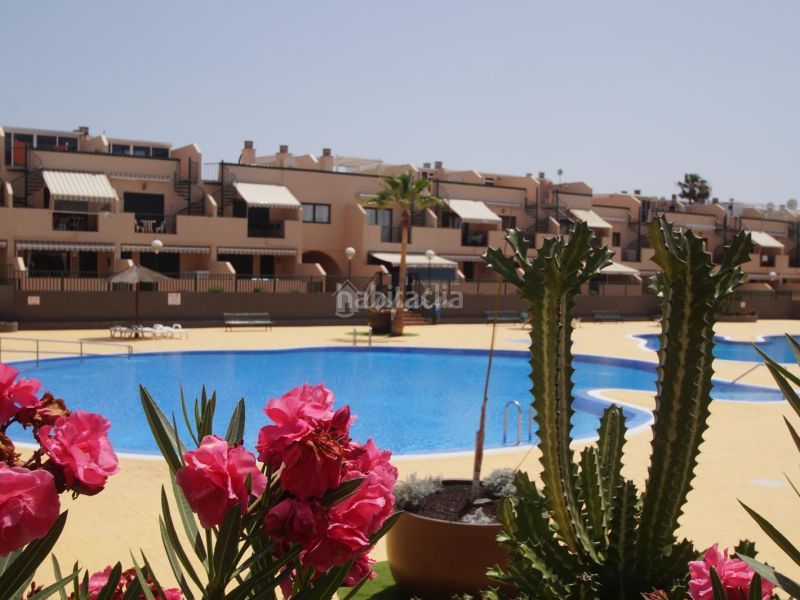 Foto 10c0a59a-6028-426a-95ec-b3a0a8268b1f. Apartament a Costa del Silencio Arona