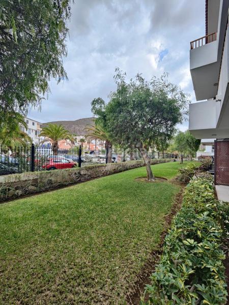 Foto 73782a85-e8db-438b-baed-7fa5d67d7df8. Piccolo appartamento in Los Cristianos Arona