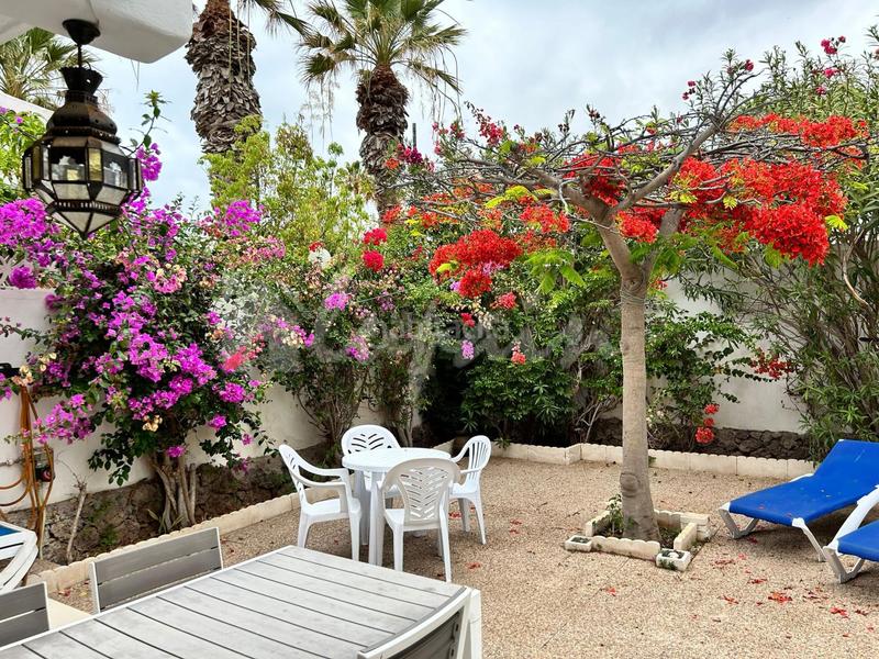 Foto 3d38d4f2-51d4-4fac-b9e1-a7b8e0fe2120. Piccolo appartamento in Playa de las Américas Arona
