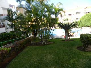Apartment in Los Cristianos