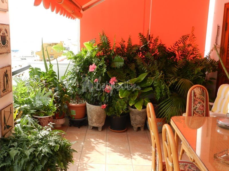 Foto 3df4281c-bd77-4824-a623-b2991eced685. Appartement in Los Cristianos Arona