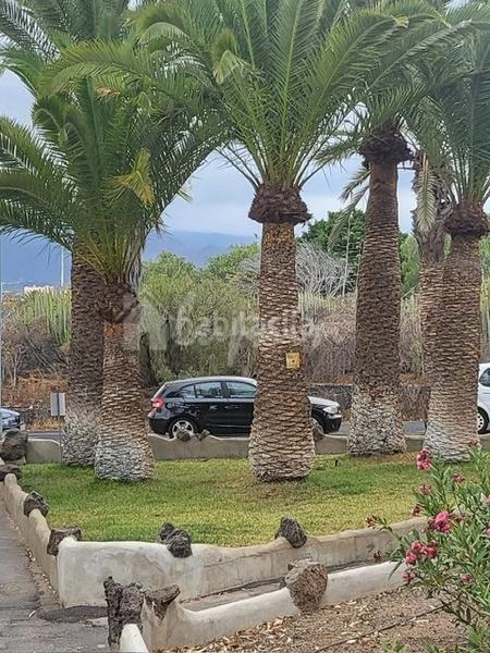 Foto f3fcc1a7-cca8-497f-8f7a-2a562496a890. Apartamento en Costa del Silencio Arona