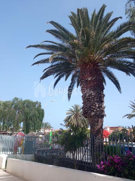 Foto a1e6788b-01c6-4f7c-be07-fe8a1b7b6f06. Apartment in Costa del Silencio Arona
