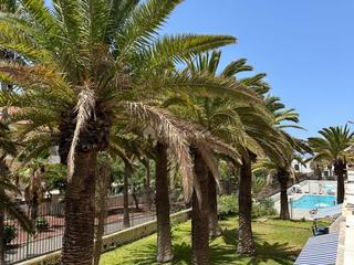 Apartament a Playa de las Américas