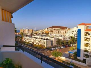 Estudio en Los Cristianos