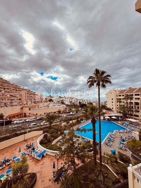 Foto 8737b94e-959f-4fe6-9921-701c05a73c2e. Estudi a Los Cristianos Arona