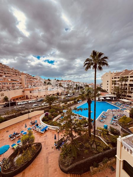 Foto 9ce9c5f5-2f4b-468a-a1b9-c1f01033df78. Estudi a Los Cristianos Arona