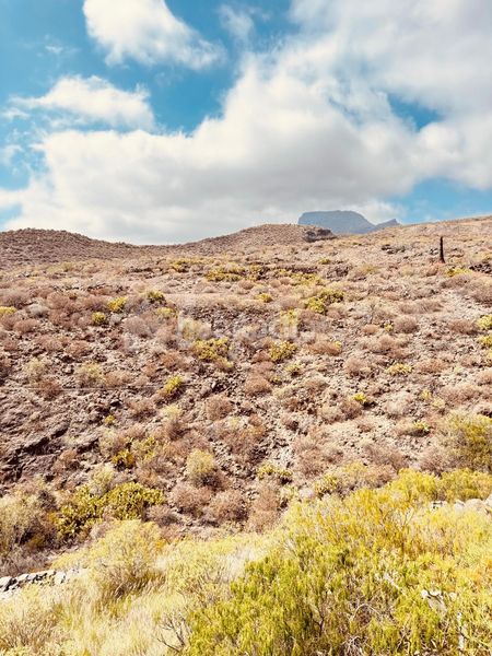 Foto 794ca45f-e0f7-46ba-a181-1dfba214bd4d. Apartament amb calefacció a Chayofa Arona