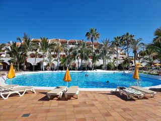 Estudio en Playa de las Américas