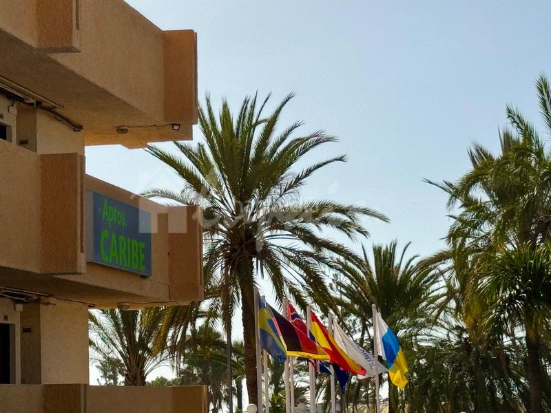 Foto 4544eb00-f3c8-4d1f-9f56-4bf9d7c89dc3. Apartament a Playa de las Américas Arona