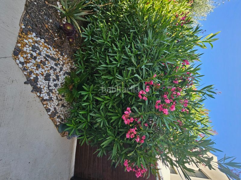 Foto b91daebb-9a31-45bd-a50a-e4859965b36a. Haus mit parking pool in Carrascoy-La Murta Murcia