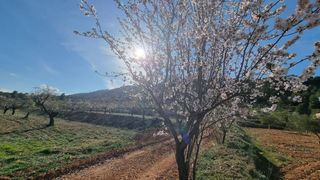 Finca rústica  Pasaje diseminado fuente mula. Venta de terreno en bullas, proximo al salto del usero
