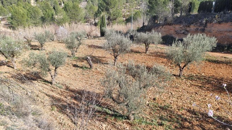 Foto 548706da-0a05-44d4-8287-ccb2497dff07. Finca rústica a Bullas