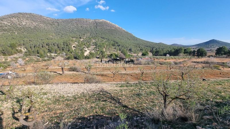 Foto 6c89f509-94c7-4f59-8f55-1fa4b7cec52c. Finca rústica a Bullas