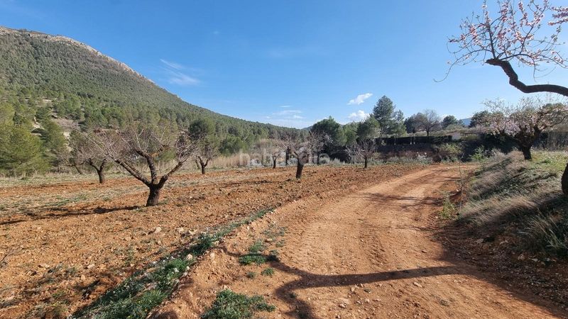 Foto cd46568f-7ebc-49bc-a886-93b9c609659c. Finca rústica a Bullas