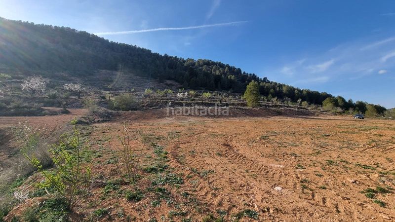 Foto d7b84a71-b18b-4595-9501-51ea563a7267. Finca rústica a Bullas