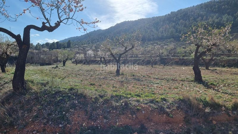 Foto d8f5c6da-fe99-478a-a446-68ce12b0b23c. Finca rústica a Bullas