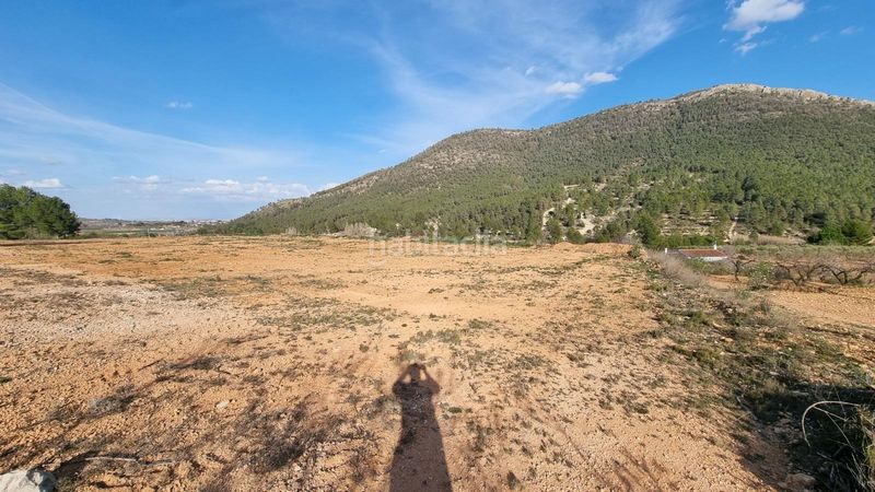 Foto daeb2f8b-1d52-4cee-b60f-b2da147356cf. Finca rústica a Bullas
