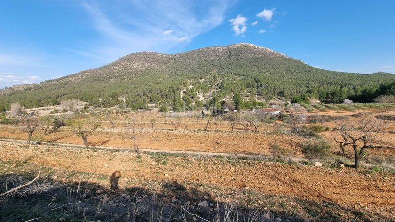 Foto e18f46f8-0391-4a31-bba0-e799dce29d6e. Finca rústica a Bullas