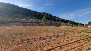 Finca rústica en Bullas. Venta terreno en bullas proximo a salto de usero