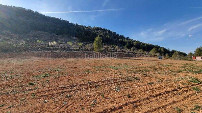 Foto e4a7fc5b-5c28-4a83-8e1a-bbe84da368f6. Finca rústica a Bullas