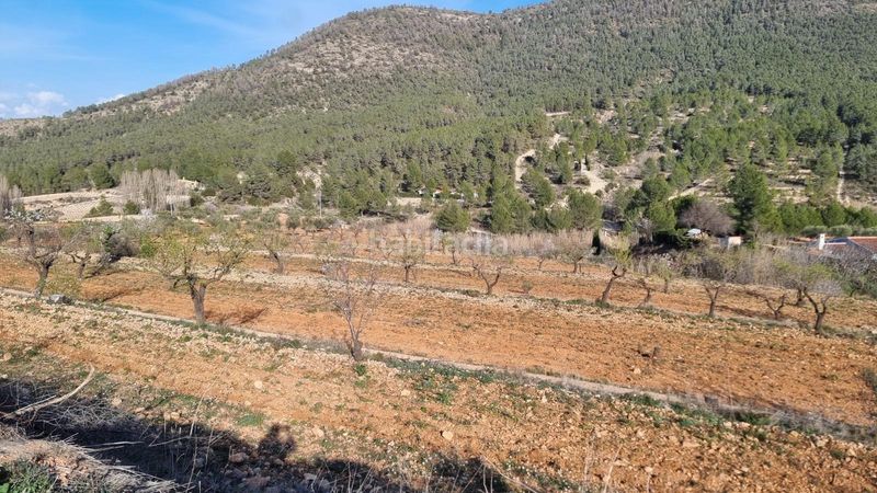 Foto ee0dfbd6-a426-4d3d-9719-64c423745032. Finca rústica a Bullas