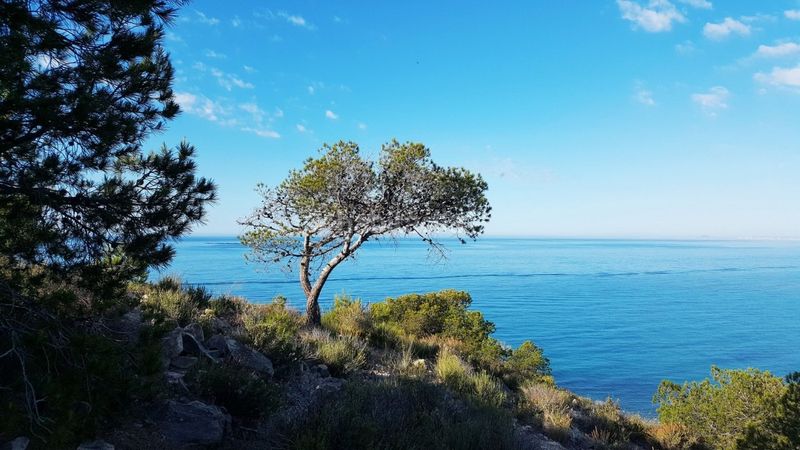Foto 689f618d-023f-4613-9cc3-42146b52dfac. Planta baixa amb aparcament piscina a Platja de Torres Vila Joiosa (la)