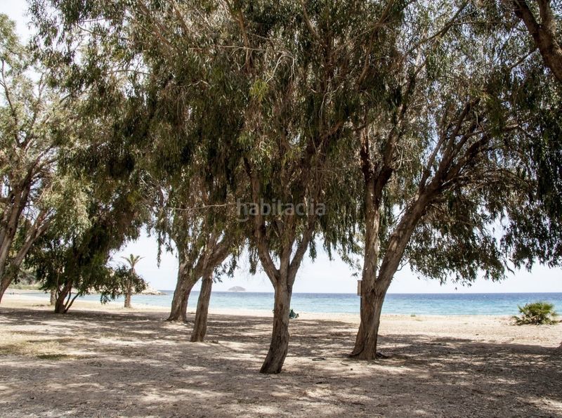 Foto 71d9be73-d4f7-4207-89a1-af181f57a7cc. Planta baixa amb aparcament piscina a Platja de Torres Vila Joiosa (la)