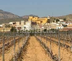Foto a7ce3567-f095-4864-abf5-14e14902eef1. Casa a Hondón de las Nieves